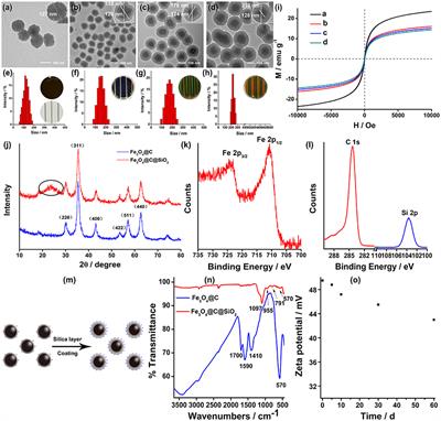 A Two-Step Strategy for Fabrication of Biocompatible 3D Magnetically Responsive Photonic Crystals